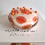 Pins_Ivoir_Corail_2