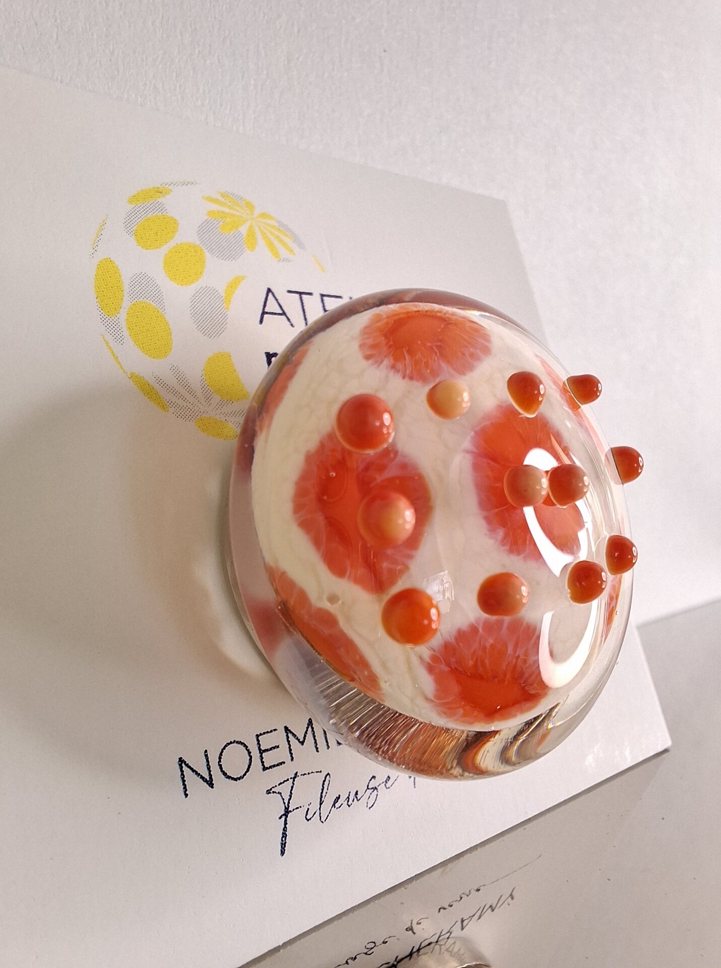 Pins_Ivoir_Corail_3 Pins_Ivoir_Corail_3