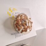 Pins_Ivoir_avent_4
